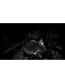 The Pony Factory (Steam key / РФ+Весь Мир)