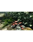 The Elder Scrolls V: Skyrim Special Edition РФ/СНГ