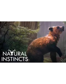 Natural Instincts European Forest (steam key) Natural Instincts European Forest (steam key)
