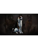 Icarus: Pet Companions Pack DLC * STEAM РОССИЯ Icarus: Pet Companions Pack DLC * STEAM РОССИЯ