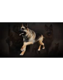 Icarus: Pet Companions Pack DLC * STEAM РОССИЯ Icarus: Pet Companions Pack DLC * STEAM РОССИЯ