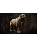 Icarus: Pet Companions Pack DLC * STEAM РОССИЯ Icarus: Pet Companions Pack DLC * STEAM РОССИЯ