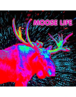 Moose Life PS4 &amp PS5