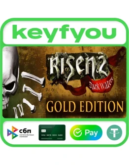 Risen 2: Dark Waters Gold Edition / STEAM КЛЮЧ Risen 2: Dark Waters Gold Edition / STEAM КЛЮЧ