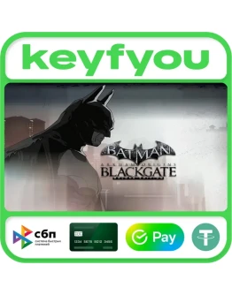 Batman: Arkham Origins Blackgate Deluxe Edition STEAM Batman: Arkham Origins Blackgate Deluxe Edition STEAM