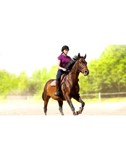 My Little Riding Champion PS4 &amp PS5