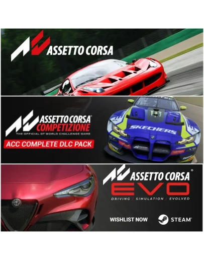 Assetto Corsa Competizione + ВСЕ DLC Оффлайн аккаунт