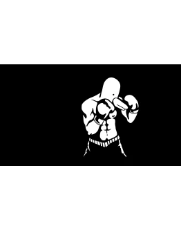 Pato Box PS4 &amp PS5