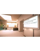 Newton's Fourth Law АВТОДОСТАВКА STEAM РОССИЯ