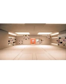 Newton's Fourth Law АВТОДОСТАВКА STEAM РОССИЯ