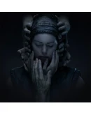 Senua's Saga Hellblade II XBOX любой аккаунт быстро