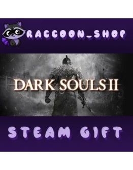 DARK SOULS II: Bundle (DX9) * STEAM RU*KZ*UA*СНГ