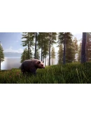 Hunting Simulator 2 Bear Hunter Pack DLC * STEAM RU