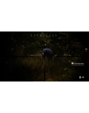 Hunting Simulator 2 Bear Hunter Pack DLC * STEAM RU