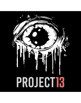 Project 13 PS5