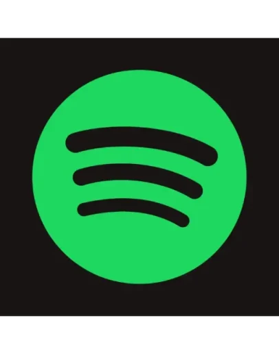 Spotify Spotify Premium Standart 12 Месяцев