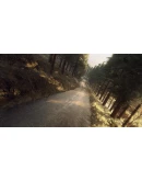 DiRT Rally 2.0 - Colin McRae: FLAT OUT Pack DLC DiRT Rally 2.0 - Colin McRae: FLAT OUT Pack DLC
