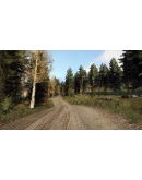 DiRT Rally 2.0 - Finland (Rally Location) DLC DiRT Rally 2.0 - Finland (Rally Location) DLC