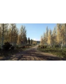 DiRT Rally 2.0 - Finland (Rally Location) DLC DiRT Rally 2.0 - Finland (Rally Location) DLC