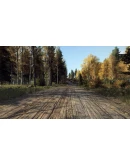 DiRT Rally 2.0 - Finland (Rally Location) DLC DiRT Rally 2.0 - Finland (Rally Location) DLC