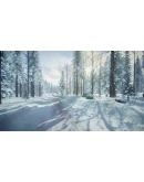 DiRT Rally 2.0 - Sweden (Rally Location) DLC