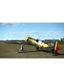 IL-2 Sturmovik: I.A.R. 80-A and 80-B Collector Planes D