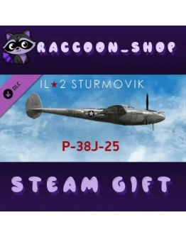 IL-2 Sturmovik: P-38J-25 Collector Plane DLC * STEAM