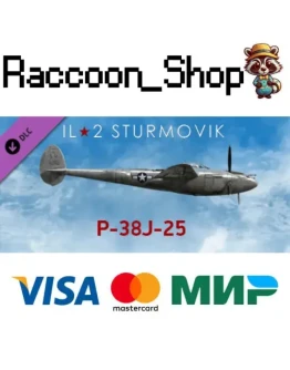 IL-2 Sturmovik: P-38J-25 Collector Plane DLC * STEAM IL-2 Sturmovik: P-38J-25 Collector Plane DLC * STEAM