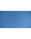 IL-2 Sturmovik: Havoc Over the Kuban Campaign DLC IL-2 Sturmovik: Havoc Over the Kuban Campaign DLC