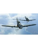 IL-2 Sturmovik: Sky Nomads Campaign DLC * STEAM RU