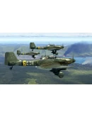 IL-2 Sturmovik: Sky Nomads Campaign DLC * STEAM RU