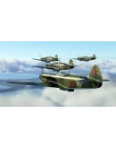 IL-2 Sturmovik: Sky Nomads Campaign DLC * STEAM RU