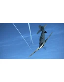 IL-2 Sturmovik: Bf 109 G-6AS Collector Plane DLC