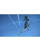 IL-2 Sturmovik: Bf 109 G-6AS Collector Plane DLC IL-2 Sturmovik: Bf 109 G-6AS Collector Plane DLC