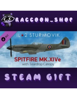 IL-2 Sturmovik: Spitfire Mk.XIVe with Teardrop Canopy D