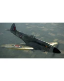 IL-2 Sturmovik: Spitfire Mk.XIVe with Teardrop Canopy D