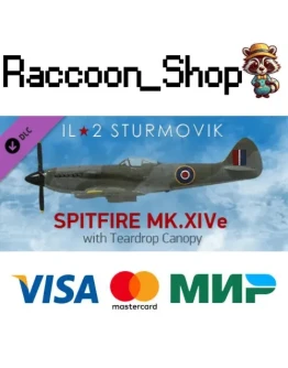 IL-2 Sturmovik: Spitfire Mk.XIVe with Teardrop Canopy D IL-2 Sturmovik: Spitfire Mk.XIVe with Teardrop Canopy D