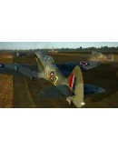 IL-2 Sturmovik: Spitfire Mk.XIVe with Teardrop Canopy D IL-2 Sturmovik: Spitfire Mk.XIVe with Teardrop Canopy D