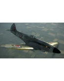 IL-2 Sturmovik: Spitfire Mk.XIVe with Teardrop Canopy D IL-2 Sturmovik: Spitfire Mk.XIVe with Teardrop Canopy D
