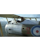 IL-2 Sturmovik: Sopwith Snipe Collector Plane DLC