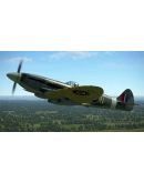 IL-2 Sturmovik: Spitfire Mk.XIV Collector Plane DLC