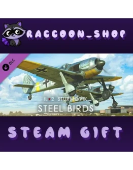 IL-2 Sturmovik: Steel Birds Campaign DLC * STEAM RU