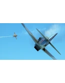 IL-2 Sturmovik: Yak-9 Series 1 Collector Plane DLC