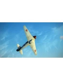 IL-2 Sturmovik: Yak-9 Series 1 Collector Plane DLC