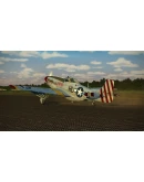 IL-2 Sturmovik: Battle of Bodenplatte DLC * STEAM RU