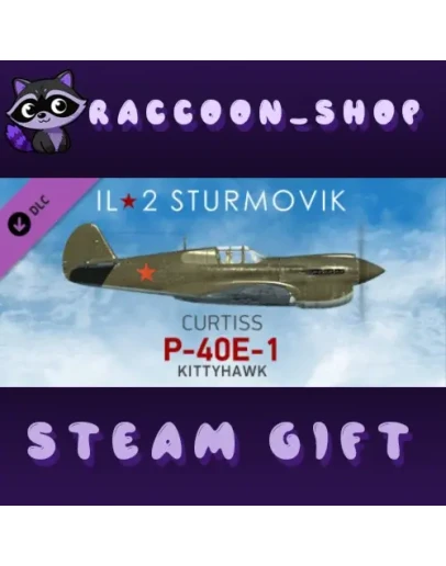 IL-2 Sturmovik: P-40E-1 Collector Plane DLC * STEAM