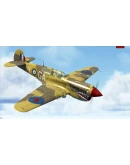 IL-2 Sturmovik: P-40E-1 Collector Plane DLC * STEAM