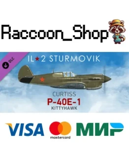 IL-2 Sturmovik: P-40E-1 Collector Plane DLC * STEAM IL-2 Sturmovik: P-40E-1 Collector Plane DLC * STEAM