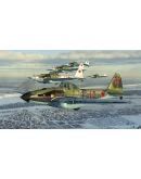 IL-2 Sturmovik: Ice Ring Campaign DLC * STEAM РОССИЯ IL-2 Sturmovik: Ice Ring Campaign DLC * STEAM РОССИЯ