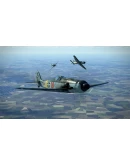 IL-2 Sturmovik: Fw 190 D-9 Collector Plane DLC IL-2 Sturmovik: Fw 190 D-9 Collector Plane DLC